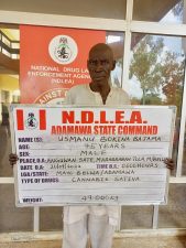 NDLEA: 75-year-old grandpa, 21 others arrested over tons of illicit drugs seized in 7 states