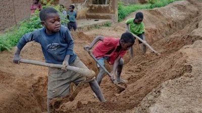 FG warns against rising cases of child labour in Nigeria