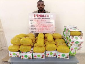 NDLEA intercepts 1.7m opioid pills in noodles, others at Lagos airport, Gombe