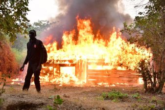 NDLEA arrests 4, razes 317 tons cannabis warehouses, in Edo forests
