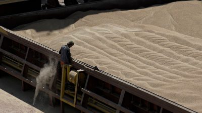Another EU state bans Ukrainian grain