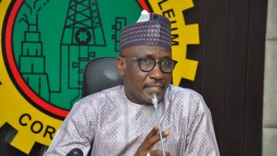 NNPC, NIPCO plan to develop Nigeria gas project, for energy stability