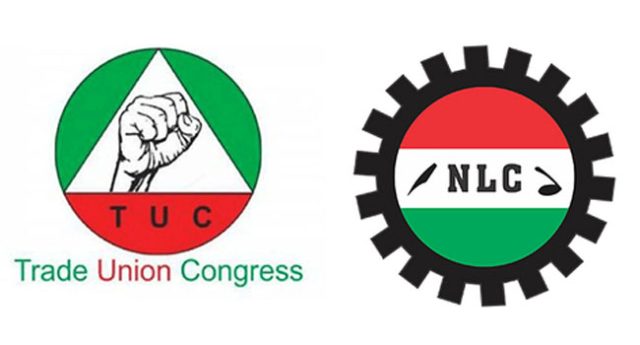 TUC-NLC.jpg