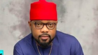 Tribunal sacks Imo’s PDP Rep, declares APC candidate over pre-election matter