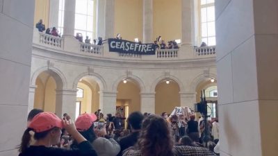 Pro-Palestinian protesters invade US Capitol