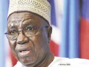 SUN INTERVIEW: Nigerian politicians now classified as thieves – Aminu Wali