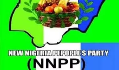 4 days after, Appeal Court yet to release CTC of Kano judgment, NNPP cries out
