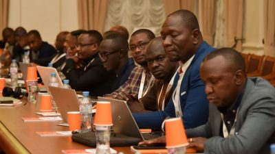 African officials attend e-government workshop in Moscow